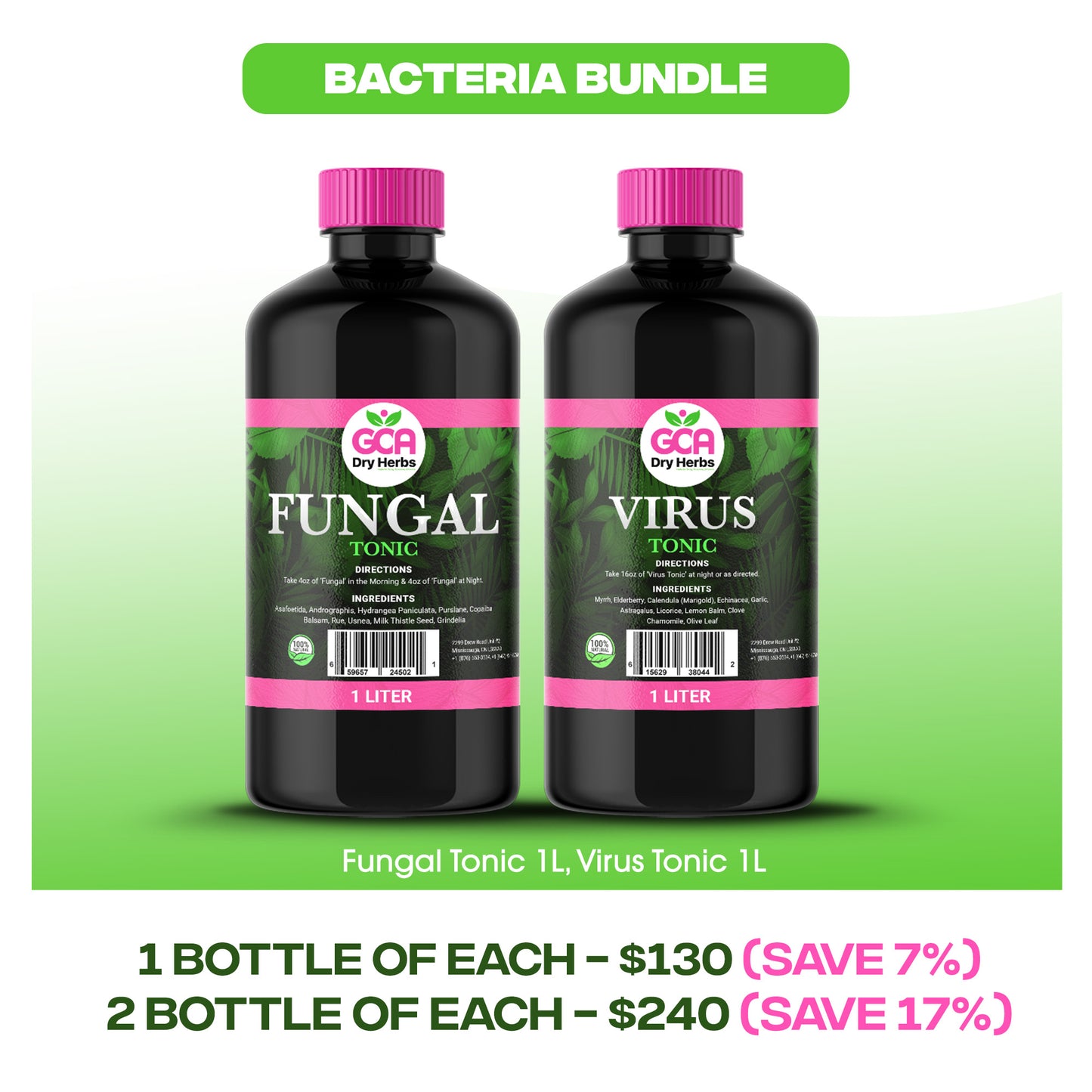 Bacteria Bundle